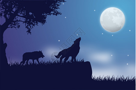 两只狼唯美夜空手绘插画插画