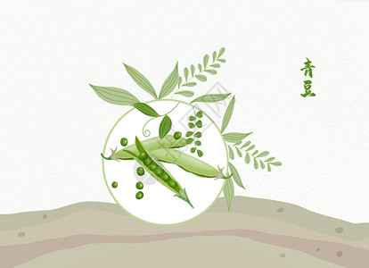 青豆素材植物插画豌豆插画