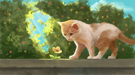 武汉清晨围墙上的猫咪插画
