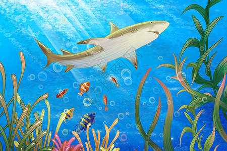 波光粼粼海面海洋世界鲨鱼插画