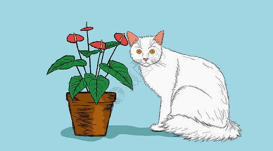 手绘盆景白猫和盆栽素描插画插画