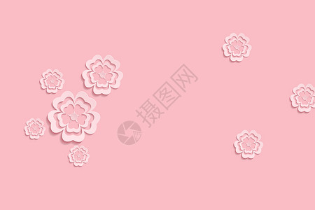 粉色花瓣立体背景图片