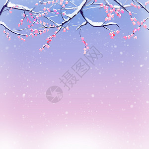 梅花雪景背景图片