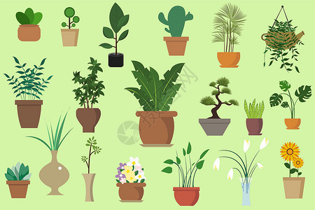 花盆中植物植物集插画