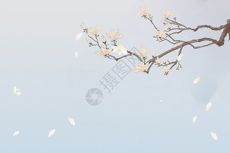 梅花已谢杏花新中国风花开凋零水墨画插画