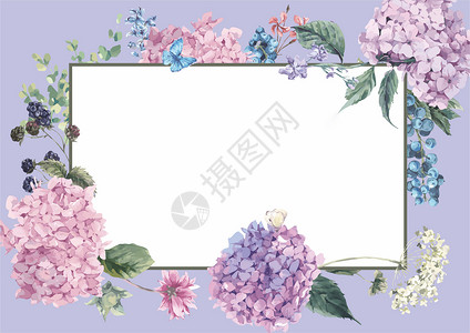 花卉框架花卉矢量复古框架高清图片