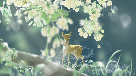 白色的小鹿林中之鹿插画