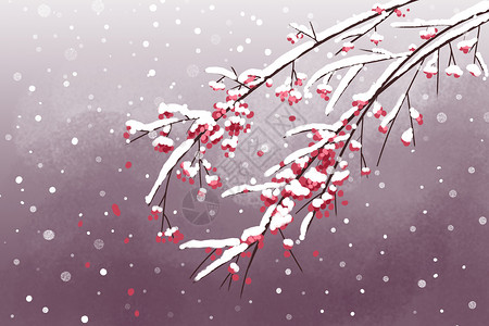 红梅公园中国风白雪寒梅插画