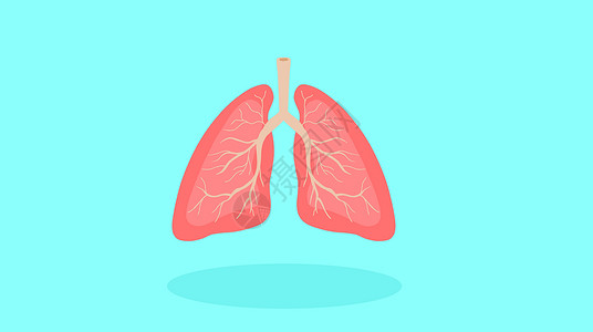 人体器官图标肺部健康设计图片