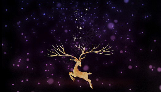 发光的鹿星光下的麋鹿设计图片