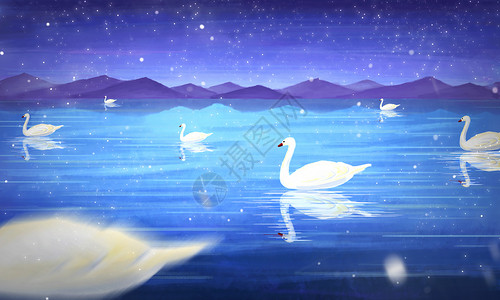 合肥天鹅湖夜景梦幻天鹅湖插画