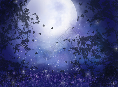月色朦胧夜景插画