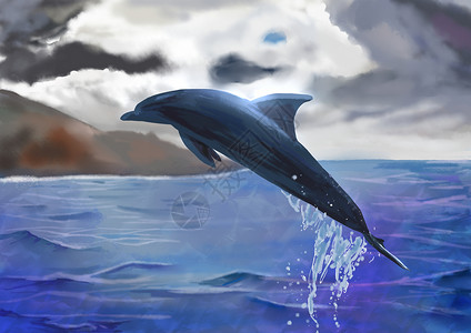 阴天大海海豚插画