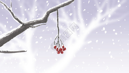 树枝与红果实冬季果实插画