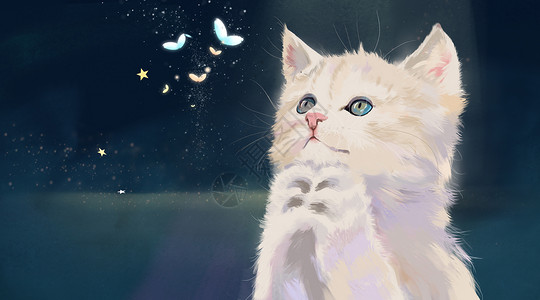 蝴蝶海报祈祷的猫插画