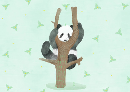 软包背景素材熊猫动物插画插画