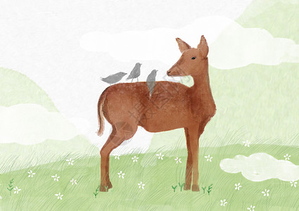 麋鹿动物插画图片