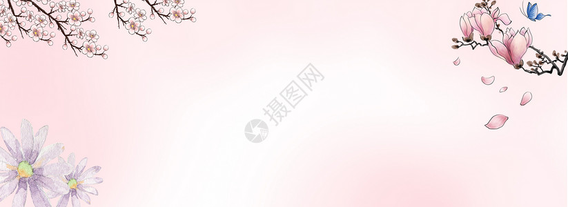 玫瑰花粉红背景情人节设计图片
