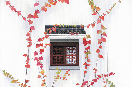枫叶背景素材墙上的爬墙虎插画