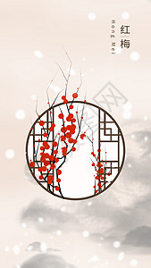 红梅冬季梅花开高清图片