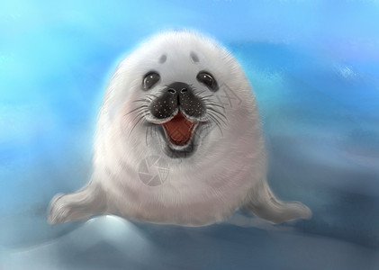 微笑海豹背景图片