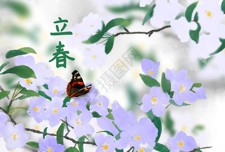 绿叶上的蝴蝶亭亭玉立于花上插画