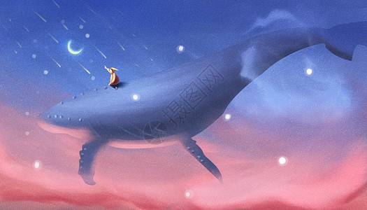 鲸线条鲸梦插画