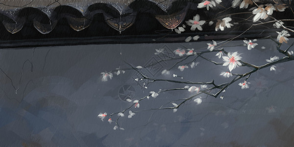 中国风梨花雨中花朵插画