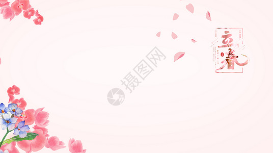 粉色的梅花立春设计图片