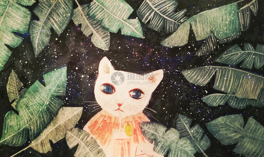 星空下的猫治愈系插画图片