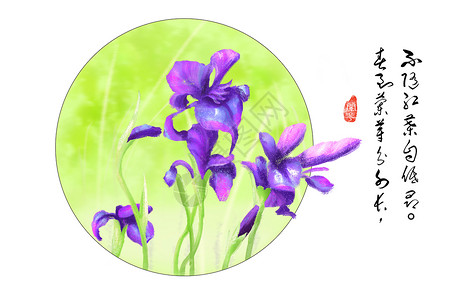 花卉插画手绘蓝色兰花高清图片