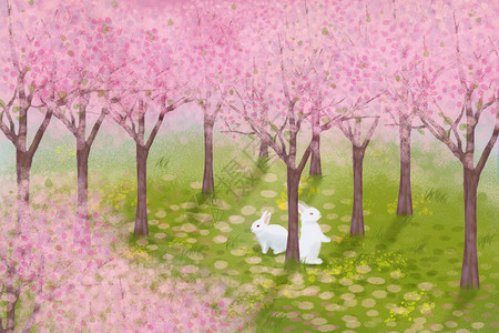 粉色手绘小兔子春暖花开兔追樱花香插画
