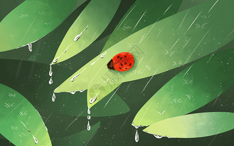 绿色树叶水滴树叶上的甲壳虫插画