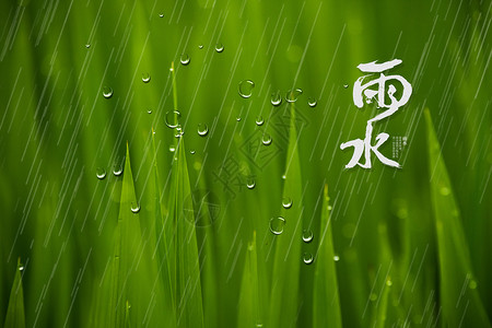 春之海棠雨水设计图片