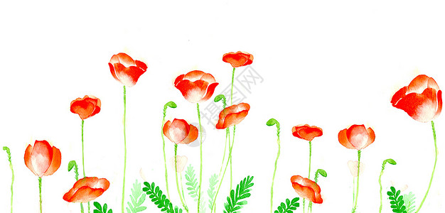 景花卉背景水彩花卉植物景插画
