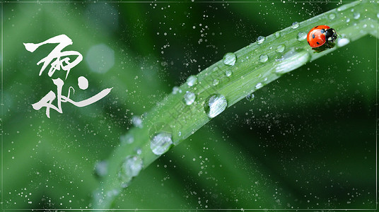 臭虫子传统节日雨水节气设计图片