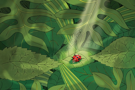森林昆虫背景图片