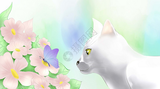 白猫咪回头猫与花插画