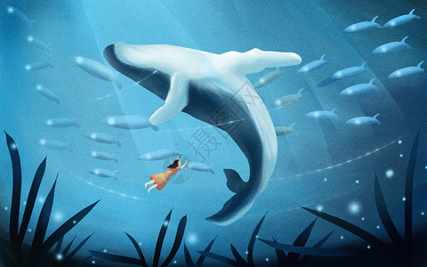 鱼群海草深海中的鲸鱼插画