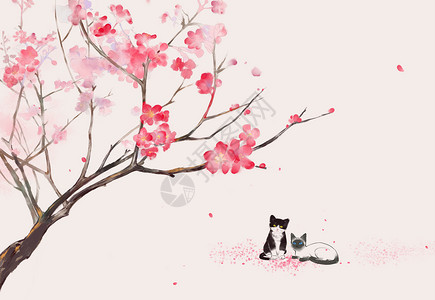 暹罗猫桃花树下的猫咪插画