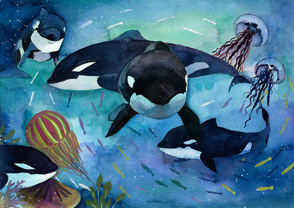 大海深处手绘鲸鱼插画