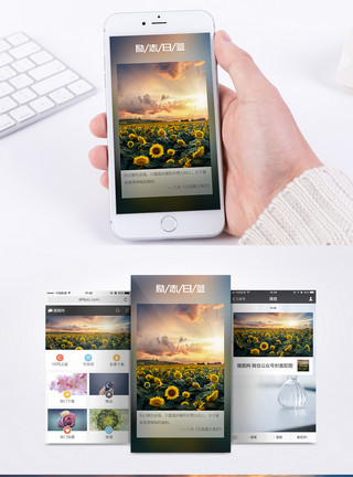 向日葵花海意境励志日签手机海报配图模板