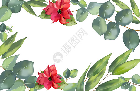 手绘花朵装饰背景背景图片