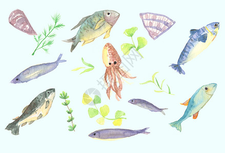 海鲜元素手绘水彩深海鱼插画