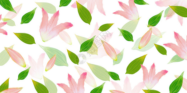 粉色白色百合植物背景插画