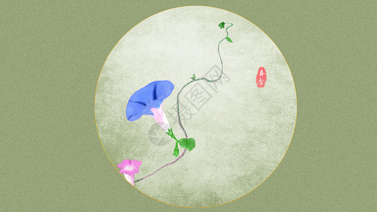 牵牛花节气夏季春分高清图片