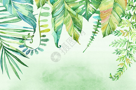绿色矢量树叶手绘水彩清新背景设计图片