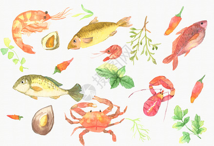 蟹和糯米饭手绘水彩鱼类元素背景插画