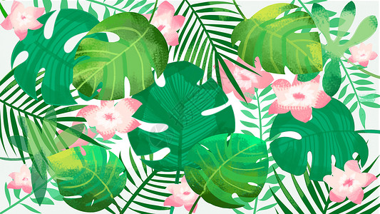 植物花朵背景插画背景图片