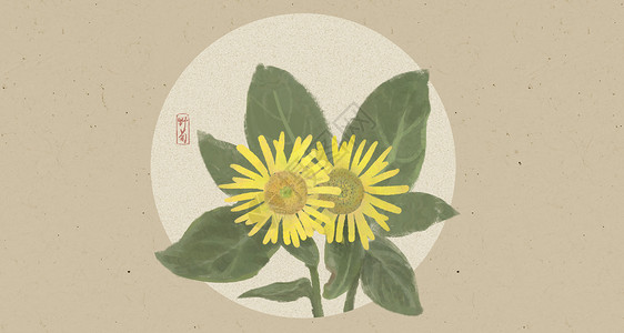 雏菊背景图片